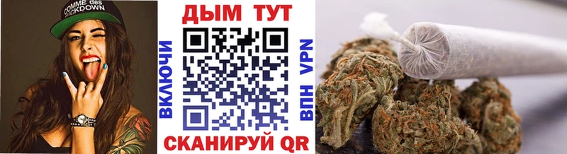 где купить наркоту  Себеж  Канабис White Widow 
